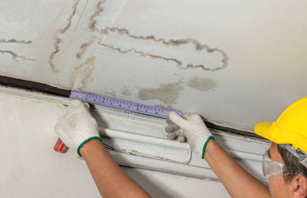 Reliable Sewage Cleanup contractor in Belle Valley, OH by Water Damage Irwin